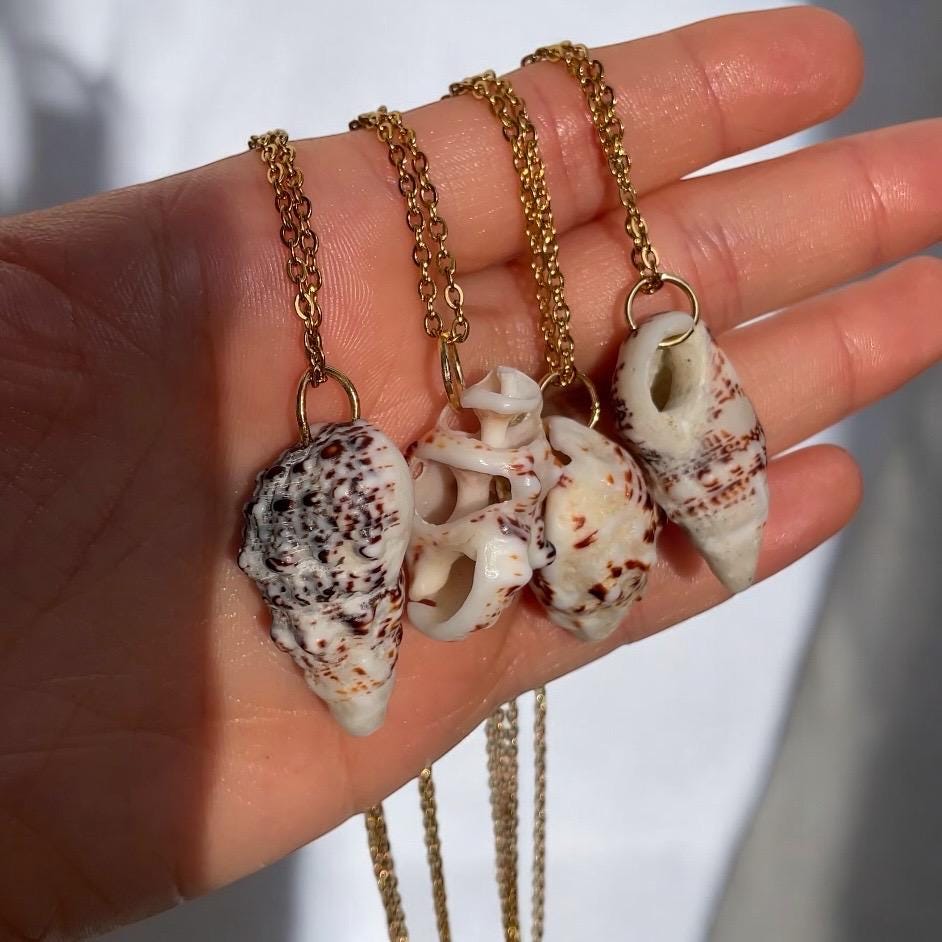 Handpicked Seashell Pendant Necklace – Natural Shell on 24” Stainless Steel Chain