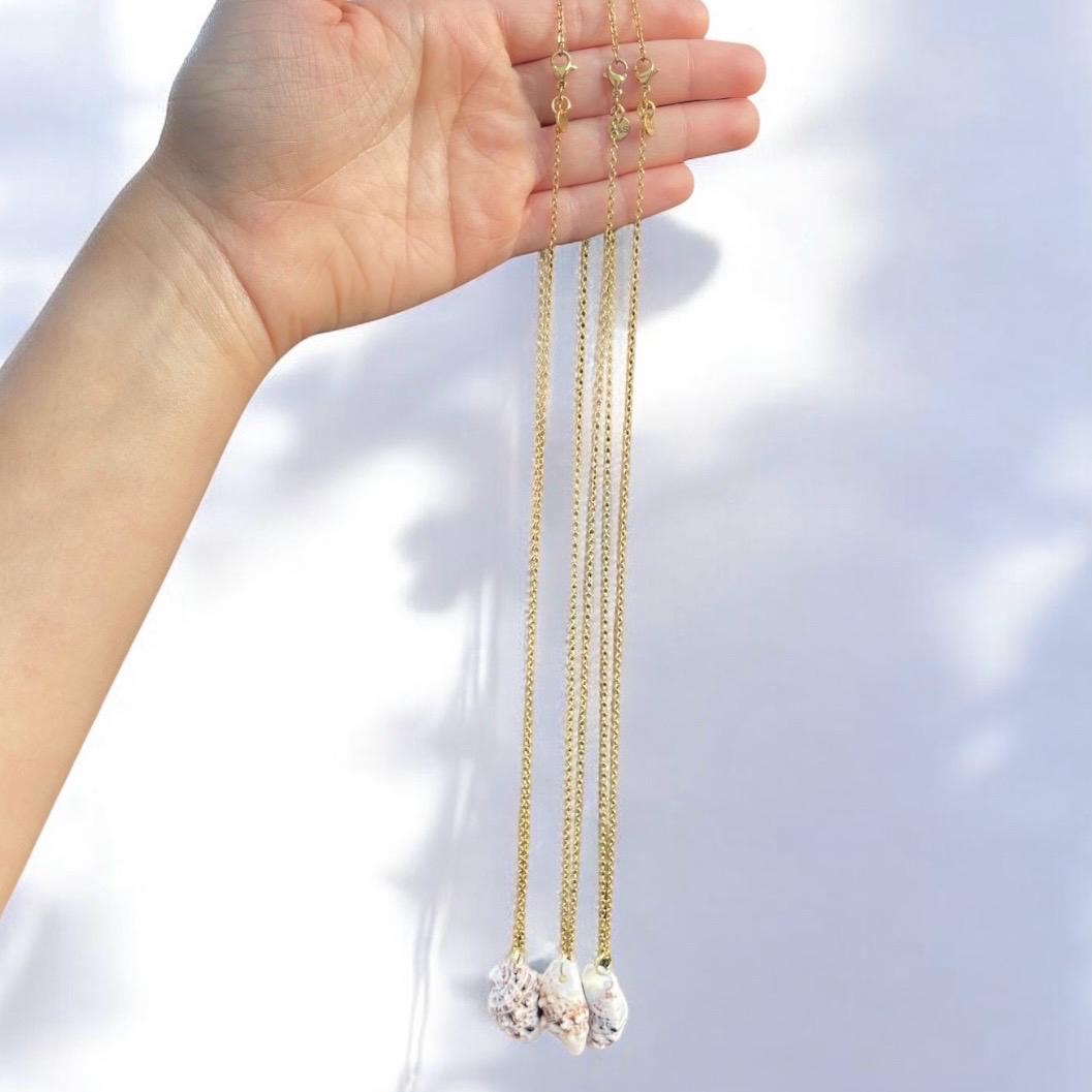 Handpicked Seashell Pendant Necklace – Natural Shell on 24” Stainless Steel Chain